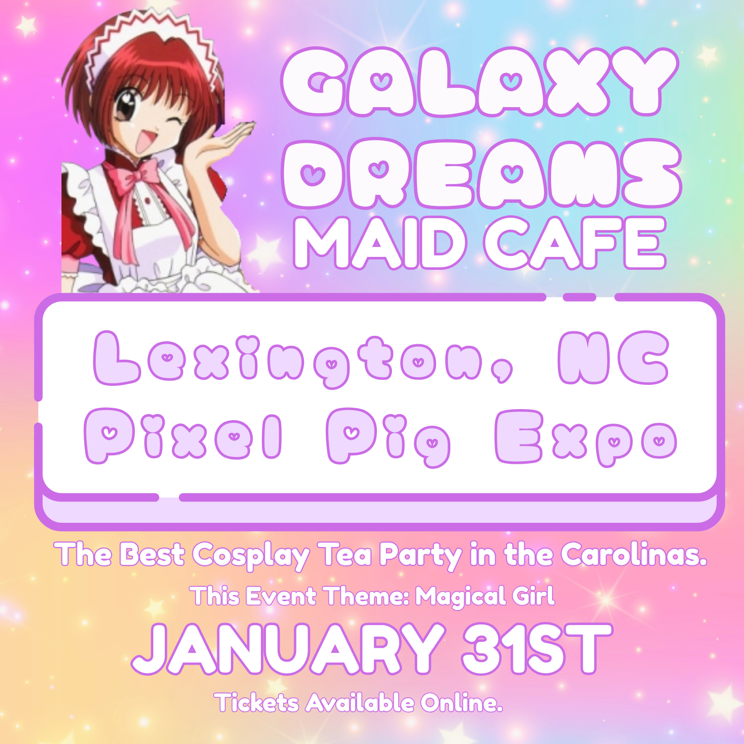 January 31st: Lexington, NC Pixel Pig Expo